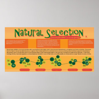 Poster voor natuurlijke selectie