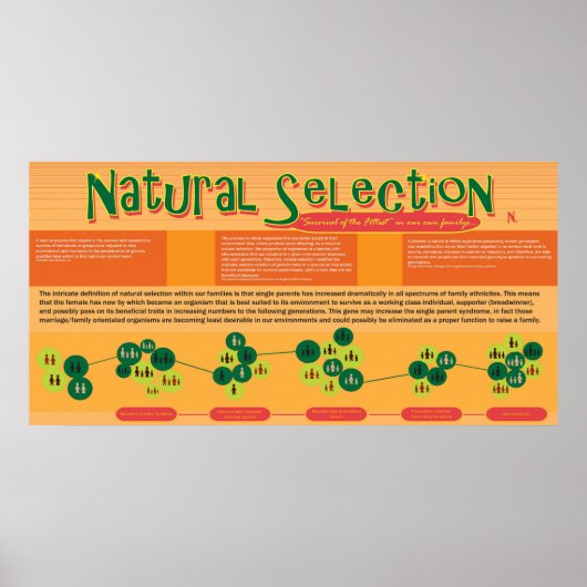 Poster voor natuurlijke selectie (Voorkant)