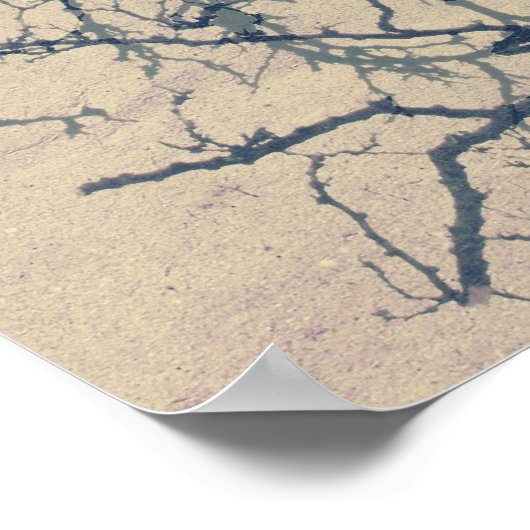 Poster voor Newton en appel (Hoek)