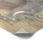 Poster voor onaangename voorwerpen (Hoek)