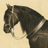 Poster voor paarden en honden of papier voor ontk