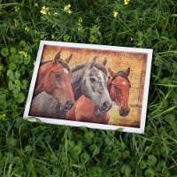 Poster voor paarden voor het ontbinden of voor het