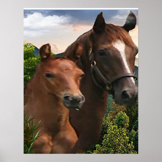 Poster voor paardenkunst (Voorkant)