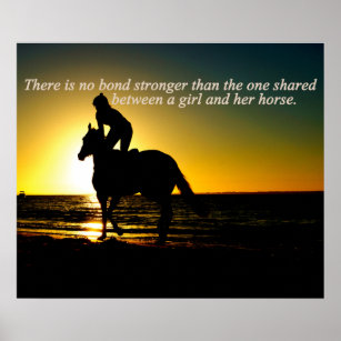 Poster voor paardenpestraces voor paardensportmeis