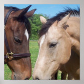 Poster voor paardenRomance afdrukken (Voorkant)