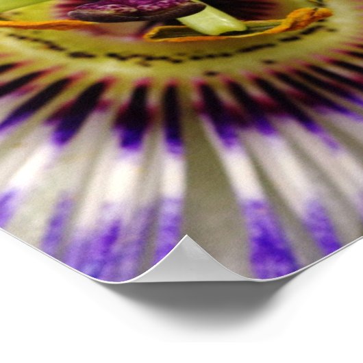 Poster voor passievruchten, 16x12 (Hoek)