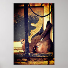 Poster voor patiëntvoorbereiding