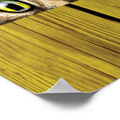 Poster voor pekelkatten (Hoek)