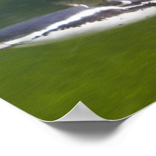 Poster voor pinguïn-zwemmen (Hoek)