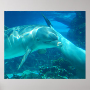 Poster voor poppenpoppen