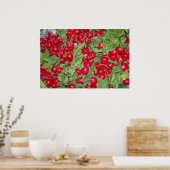 Poster voor radionaten (Keuken)