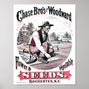 Poster voor  reclame voor zaaizaad