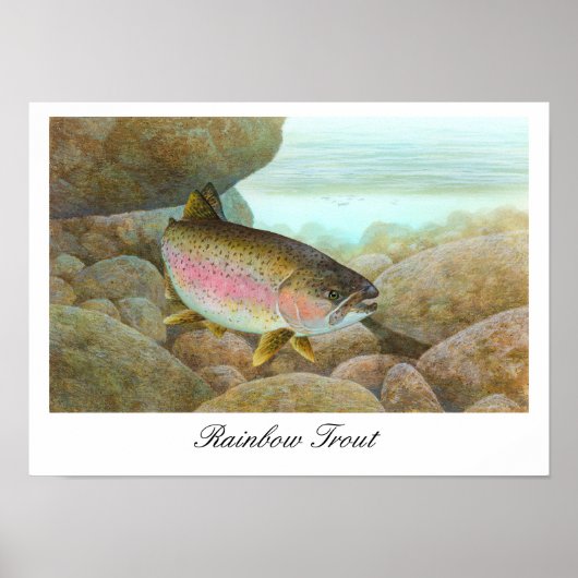 Poster voor regenboogforel schilderen (Voorkant)