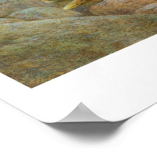 Poster voor regenboogforel schilderen (Hoek)