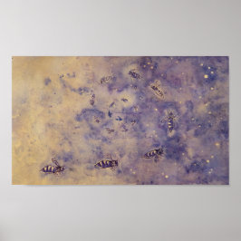 Poster voor ruimtebijen