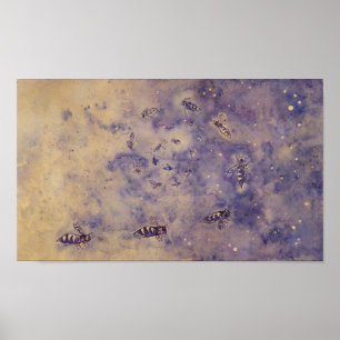 Poster voor ruimtebijen