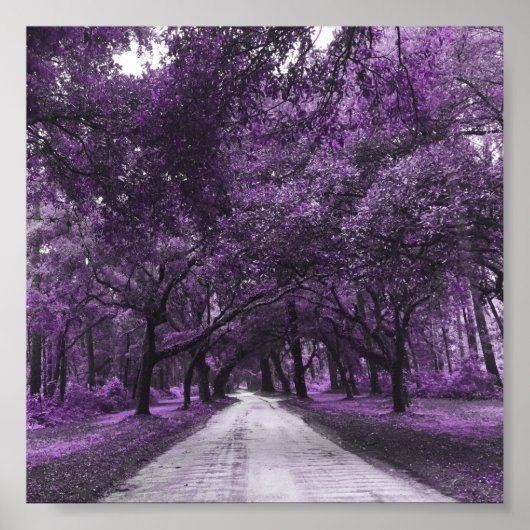 poster voor santeringweg (Voorkant)