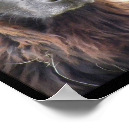 poster voor schilderen van honden (Hoek)