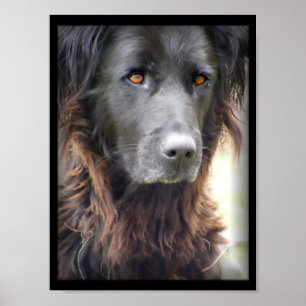 poster voor schilderen van honden