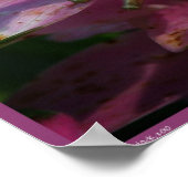 Poster voor slimme meisjes (Hoek)