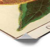 Poster voor smaakextractie (Hoek)