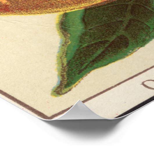  Poster voor smaakextractie (Hoek)