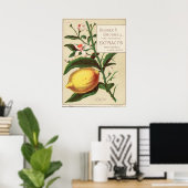 Poster voor smaakextractie (Thuiskantoor)