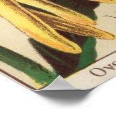 Poster voor smaakextractie (Hoek)