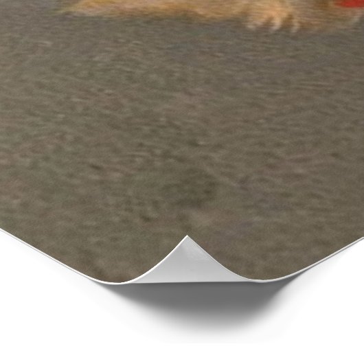 poster voor  theatermagazijn (Hoek)