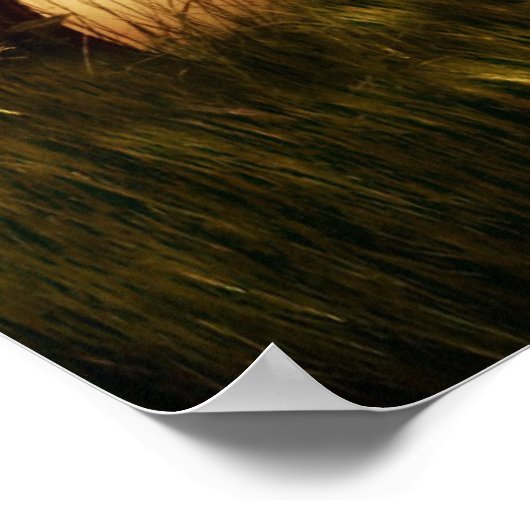 Poster voor tractorstroomopdrijving (Hoek)