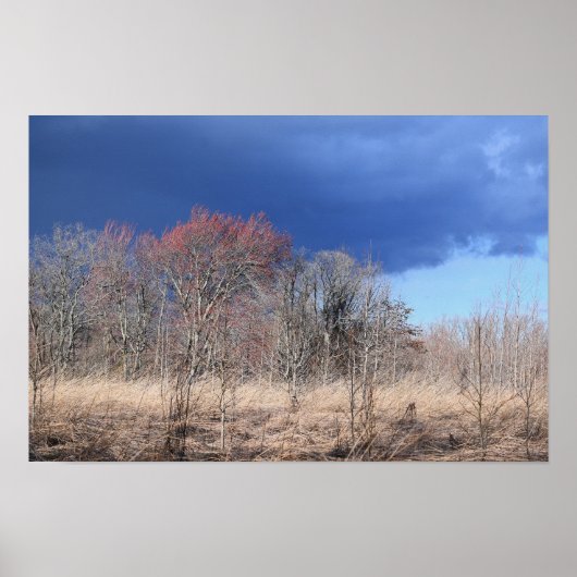Poster voor troebel landschap (Voorkant)