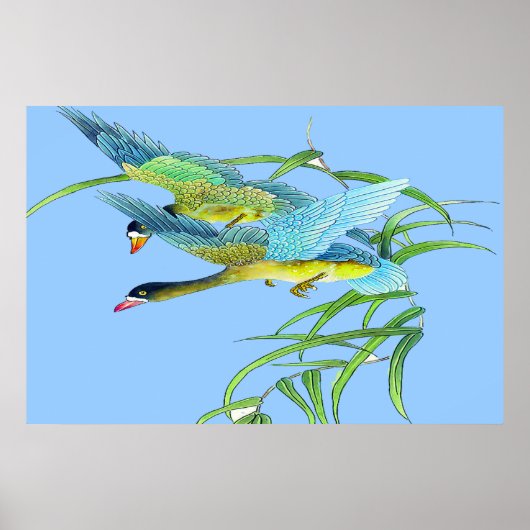 Poster voor vliegende eenden Tekening 2 (Voorkant)