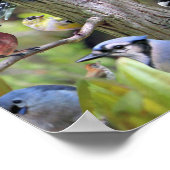 Poster voor voorhoede vogels (Hoek)