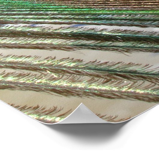 poster voor vredesveren (Hoek)