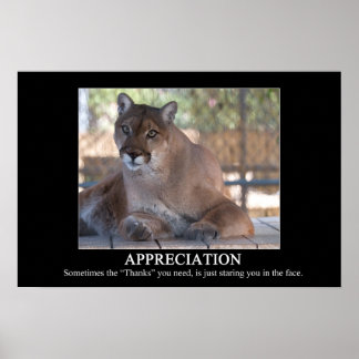 Poster voor waardering
