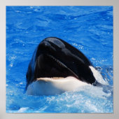 Poster voor walvisgeluiden (Voorkant)