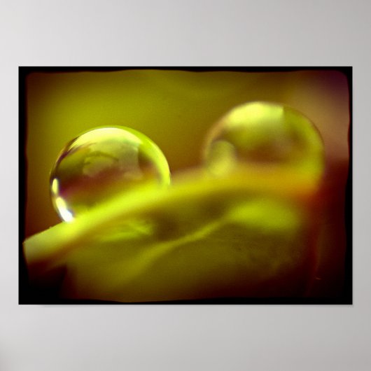 Poster voor waterdruppels (Voorkant)