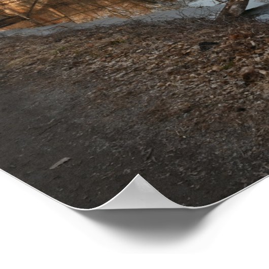 Poster voor weerkaatsing van het winterwater (Hoek)