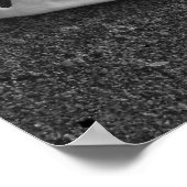 Poster voor zanddollar (zwart-wit) (Hoek)