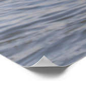 Poster voor zeegarnaal (Hoek)