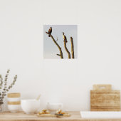 Poster voor zitvogels (Keuken)