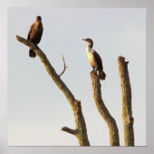 Poster voor zitvogels (Voorkant)