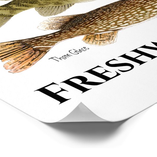 Poster voor zoetwatervis (Hoek)