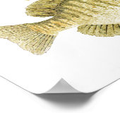 Poster voor zonnevis (Hoek)