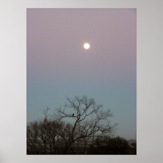 poster voor zonsopgang (Voorkant)