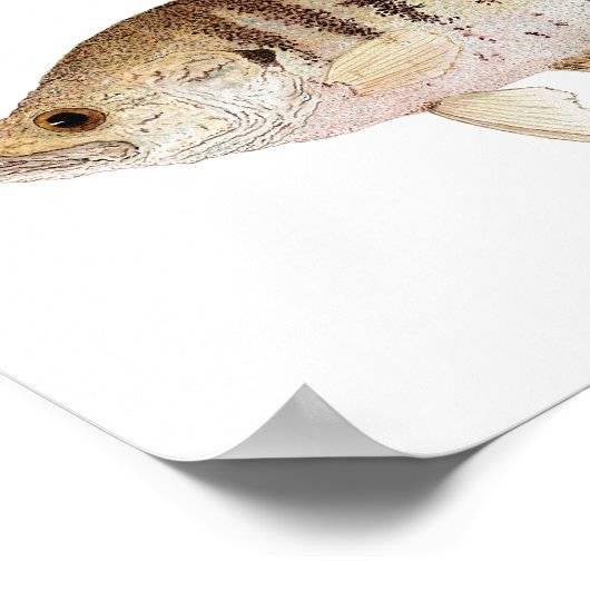 Poster voor zwart-wit en haarfijn papier (Hoek)