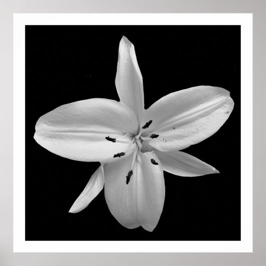 Poster voor zwart-witfotografie (Voorkant)