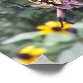 Poster voor zwarte en gele tuinspin (Hoek)