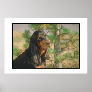 Poster voor zwarte en Tan Coonhound