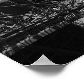 Poster voor zwarte en witte olifantentoren (Hoek)